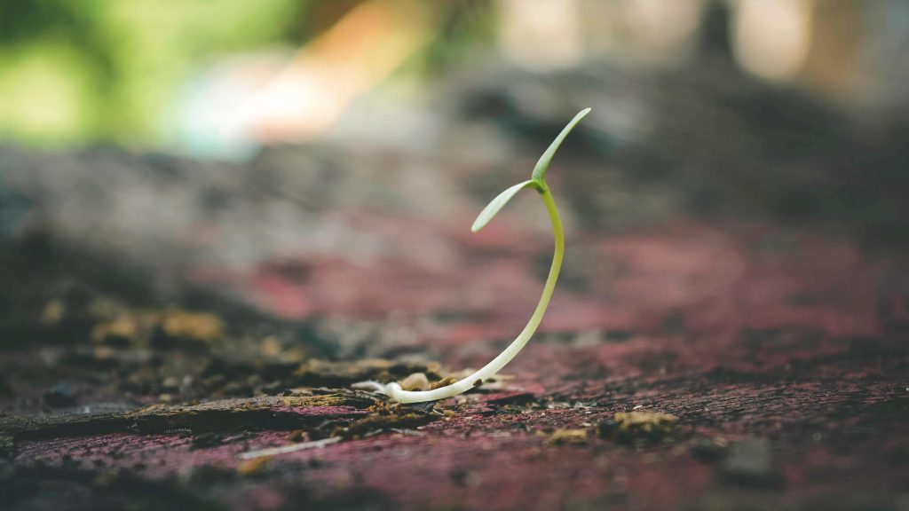 Seeding avoidance